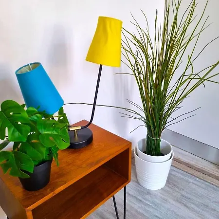 Loft Decoration Seventies